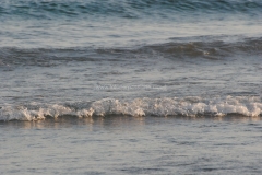 Castiglione della Pescaia 2023
