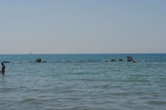 castiglione-della-pescaia_2023_1