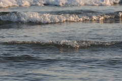 castiglione-della-pescaia_2023_3