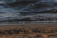 castiglione-della-pescaia_2023_7