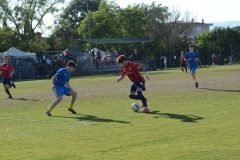 Coppa-Toscana-Grifoni-Soccer-Accademy-Carrarese-Giovani_100