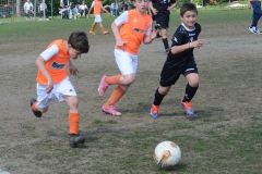Memorial-Ricciarelli-25.04.2025_46