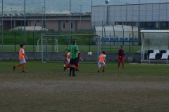 Memorial-Ricciarelli-25.04.2025_5