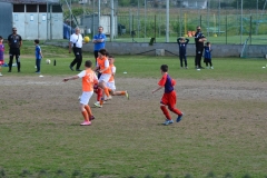 Memorial-Ricciarelli-25.04.2025_6