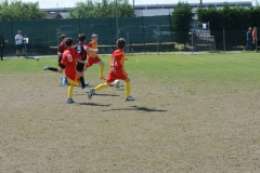 Memorial-Ricciarelli-25.04.2025_92