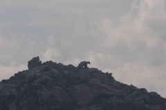 sardegna_2023_31