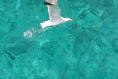sardegna_2023_66