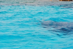 sardegna_2023_80